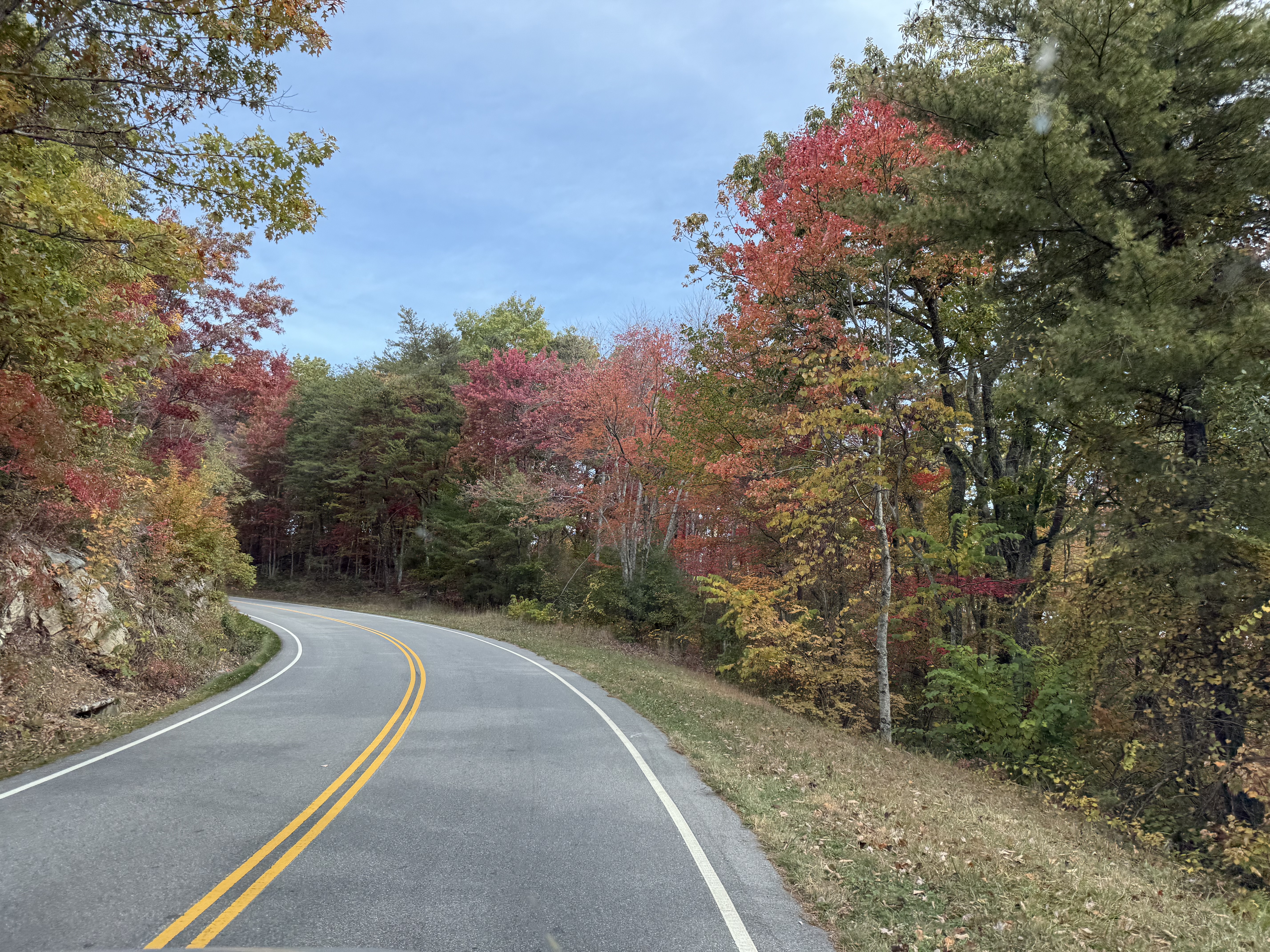 PangeaEffect Holdings